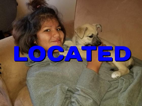 Kaidace Tony-Squirrel - Last seen October 20, 2018