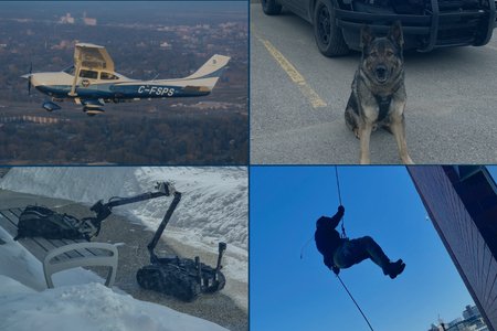 Air Support, Canine, Explosive Disposal, and Tactical Support